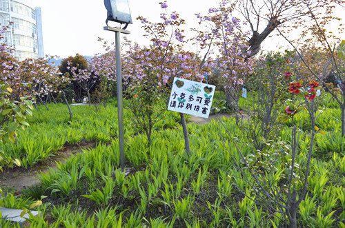 新葡的京集团8814举办挂树牌活动