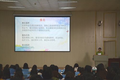 新葡的京集团8814召开2019届毕业生就业指导会